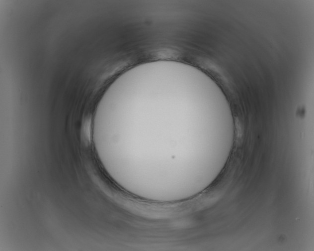 X0000093150028200709261455