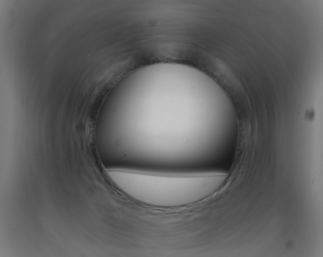 X0000093150029200709261455