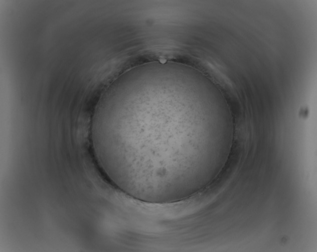 X0000093150030200709261455