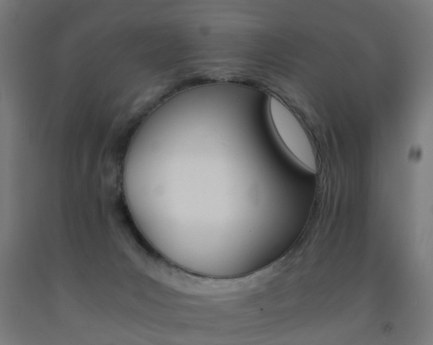 X0000093150031200709261455