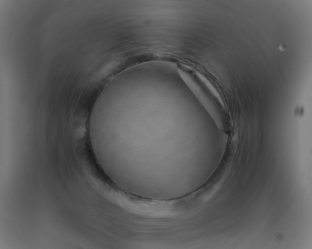 X0000093150032200709261455