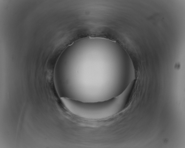 X0000093150033200709261455