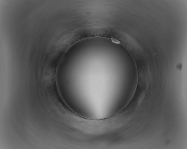 X0000093150034200709261454