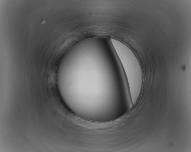 X0000093150035200709261454