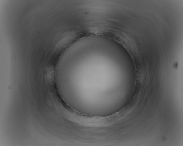 X0000093150036200709261454