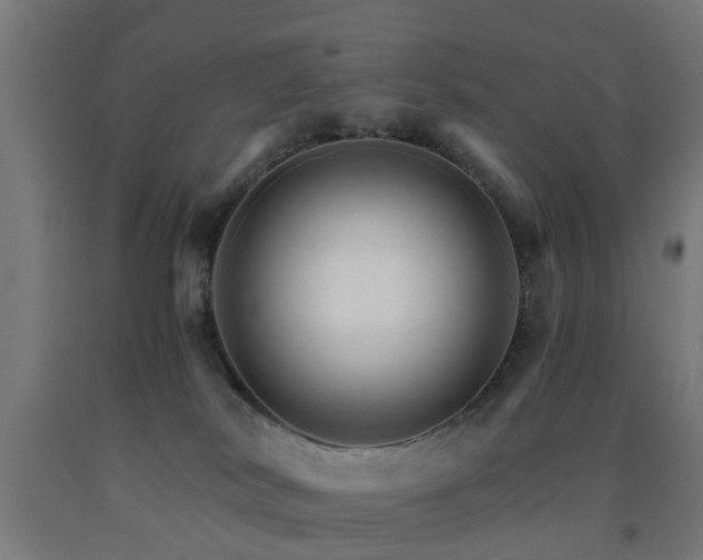 X0000093150038200709261454