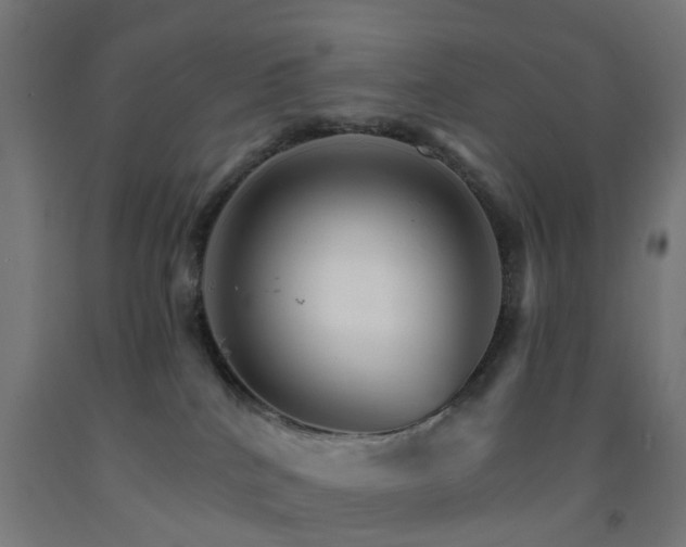 X0000093150040200709261454