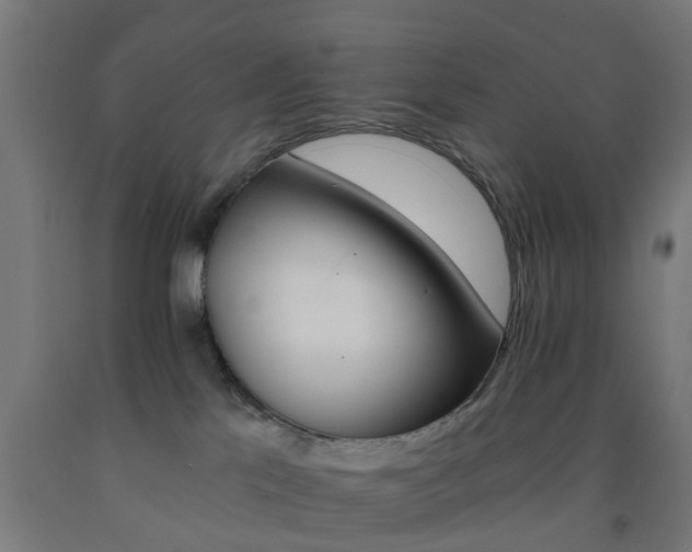 X0000093150041200709261454