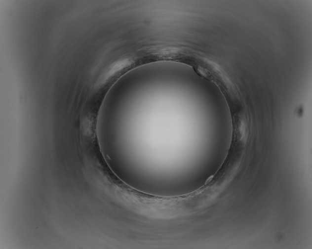 X0000093150044200709261454