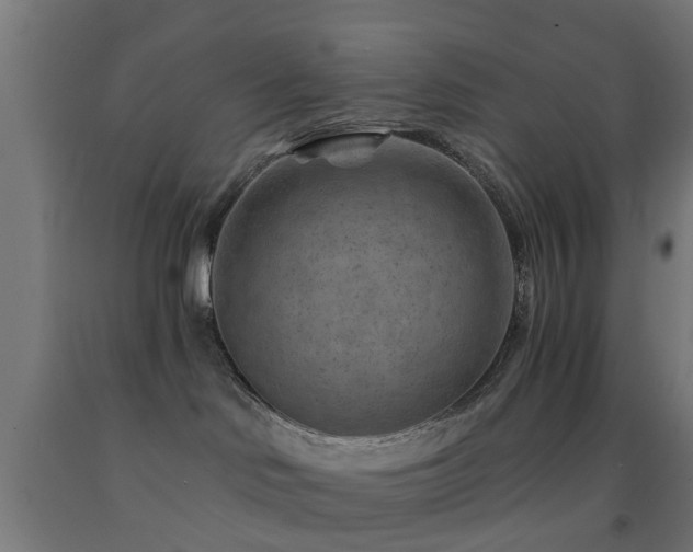 X0000093150046200709261454
