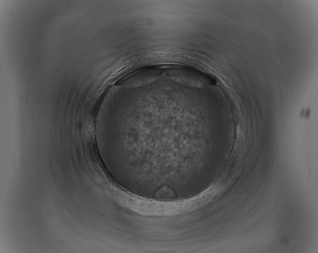 X0000093150048200709261454