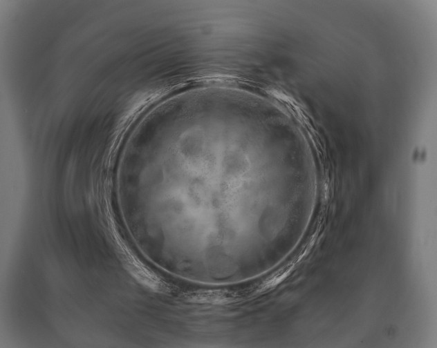 X0000093150049200709261454