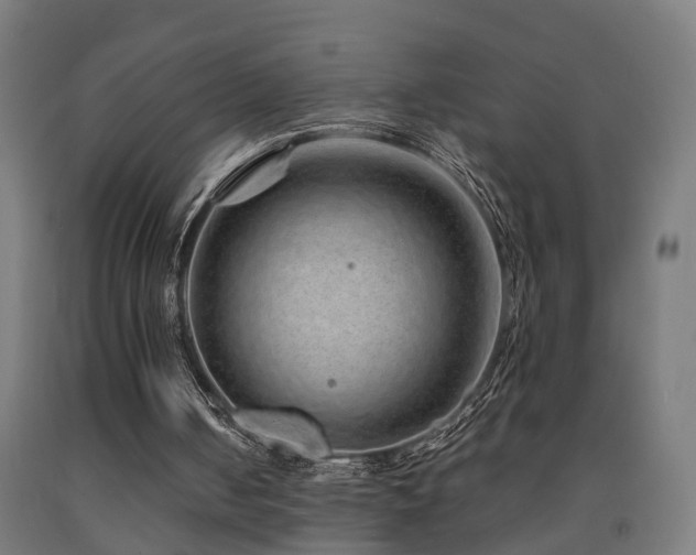 X0000093150050200709261454