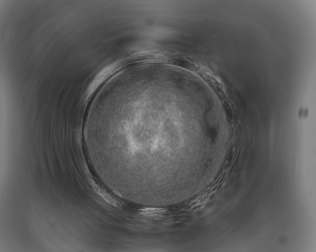X0000093150051200709261454