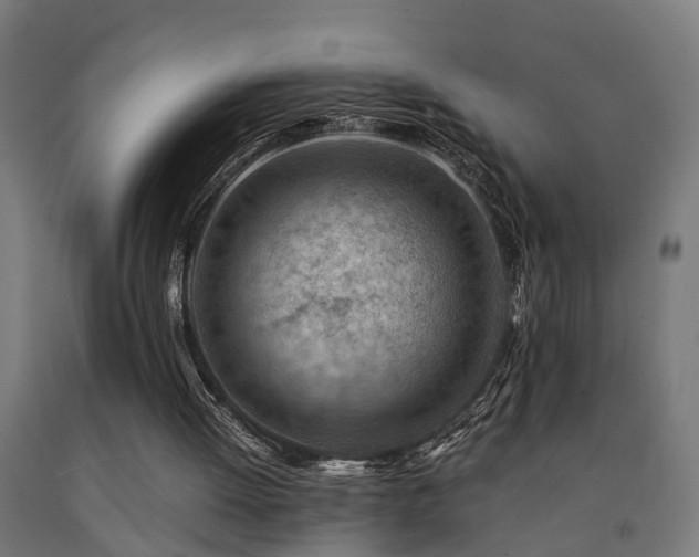 X0000093150052200709261454