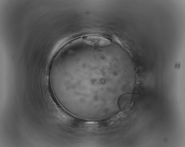 X0000093150053200709261454