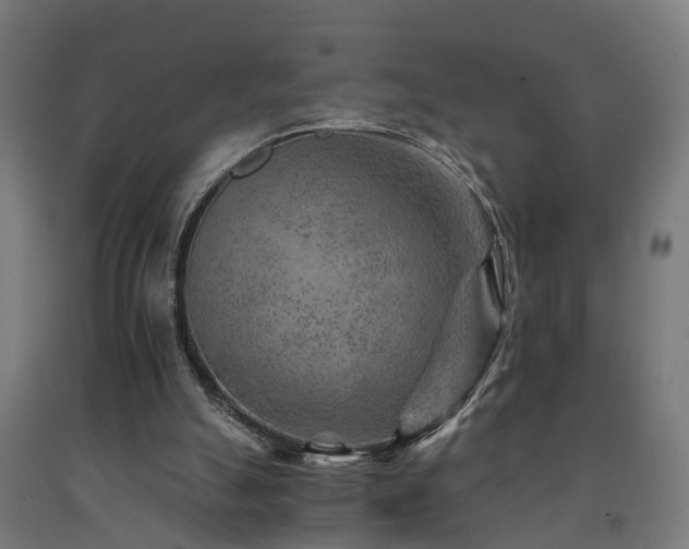 X0000093150055200709261454