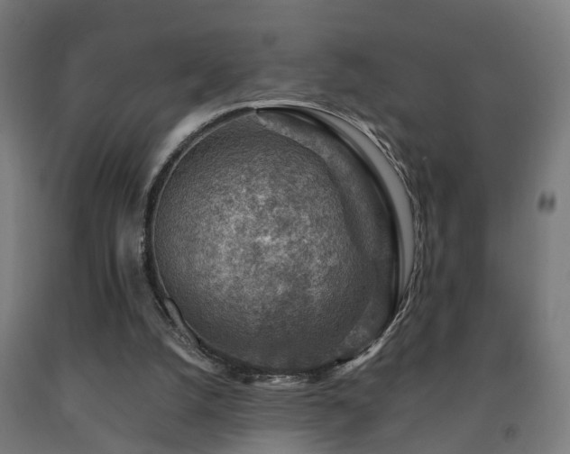 X0000093150056200709261454