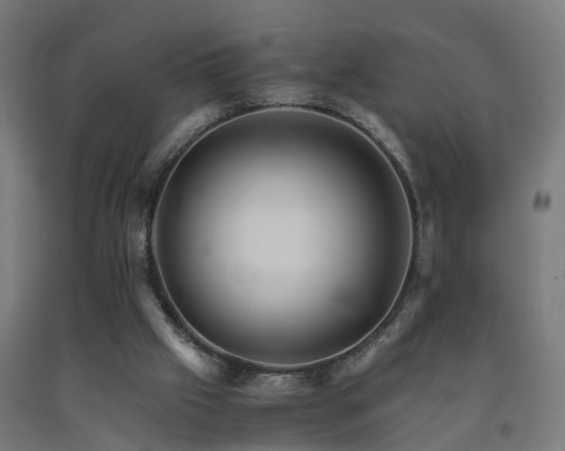 X0000093150057200709261454
