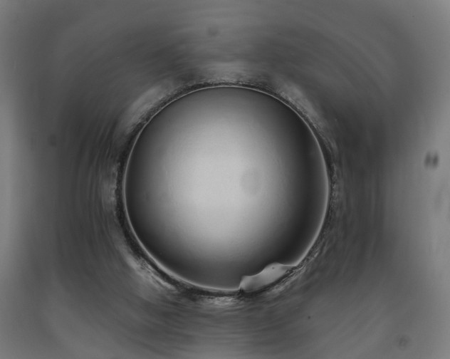 X0000093150058200709261454