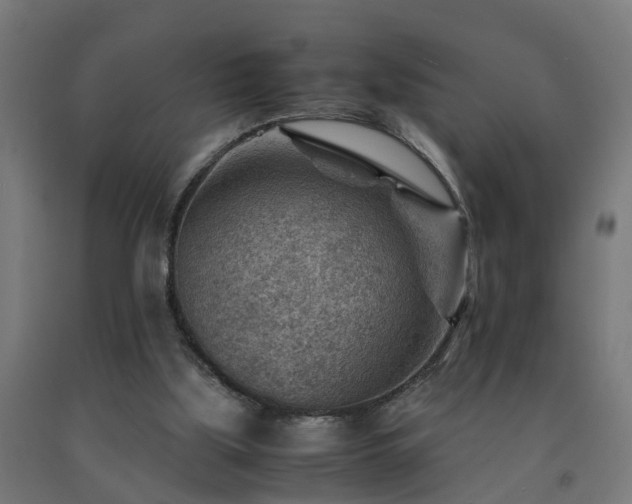 X0000093150059200709261454