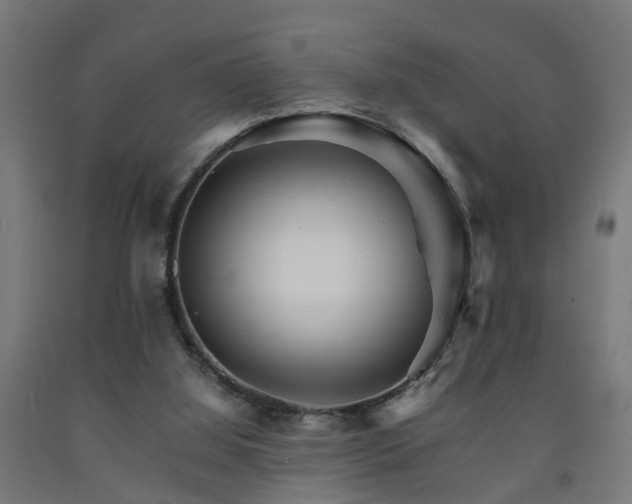 X0000093150060200709261454