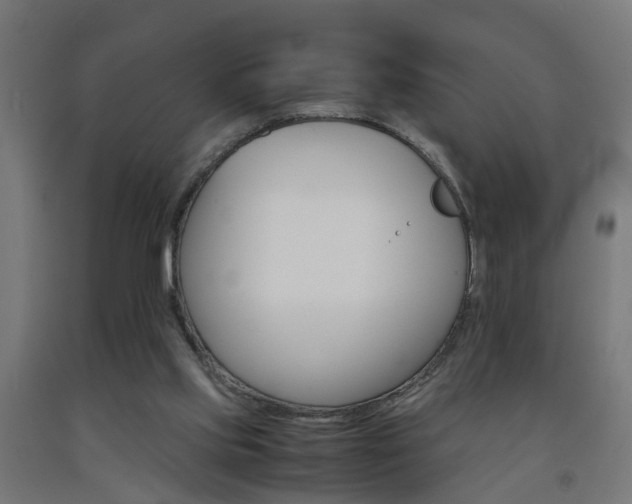 X0000093150061200709261454
