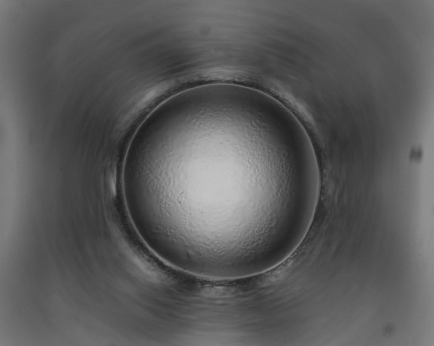 X0000093150062200709261454