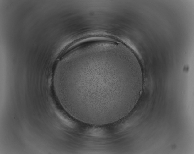 X0000093150063200709261454