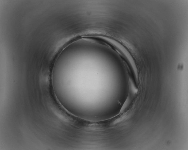 X0000093150064200709261454