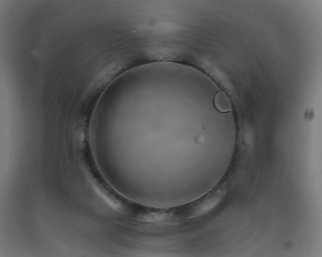 X0000093150065200709261454