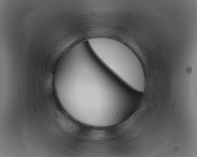X0000093150066200709261454