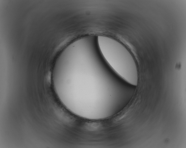X0000093150067200709261454