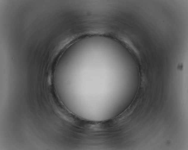 X0000093150068200709261454