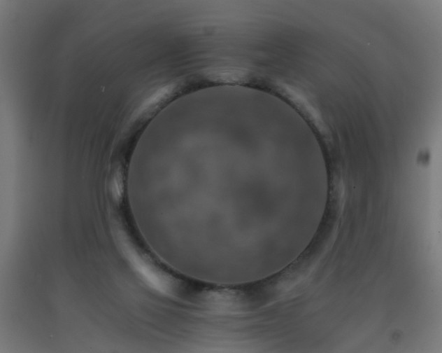 X0000093150069200709261454