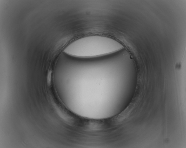 X0000093150070200709261454