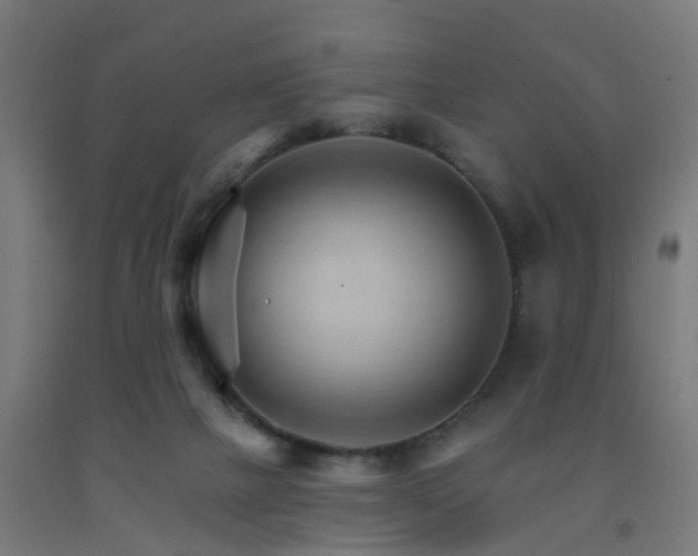 X0000093150073200709261454