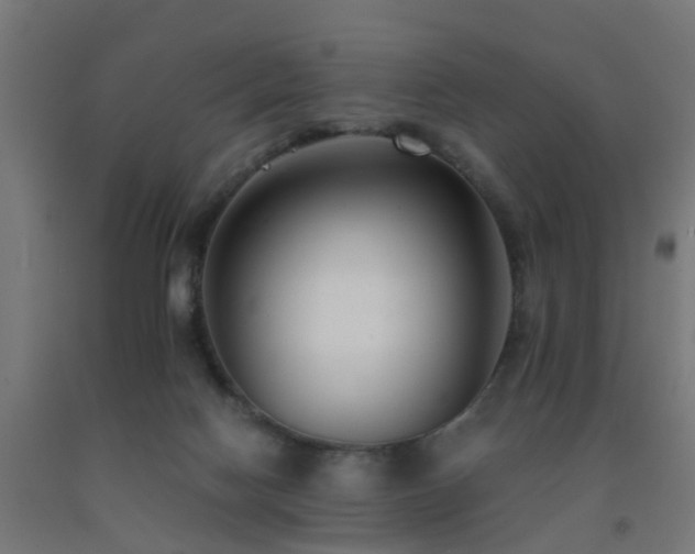 X0000093150074200709261454