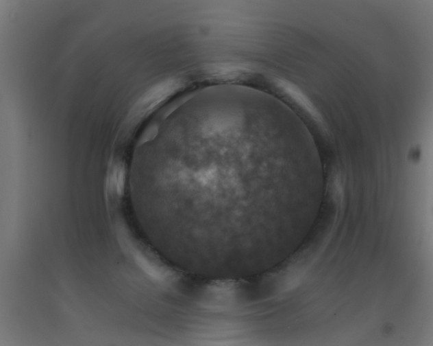 X0000093150076200709261454