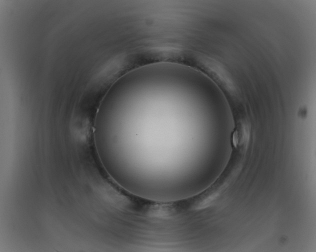 X0000093150077200709261454