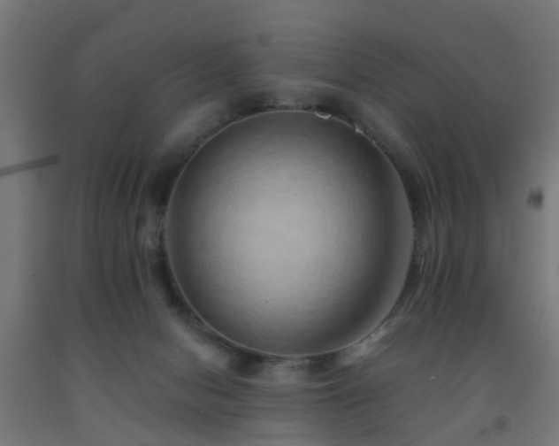 X0000093150078200709261454