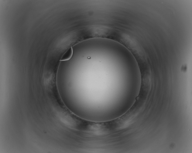 X0000093150079200709261454