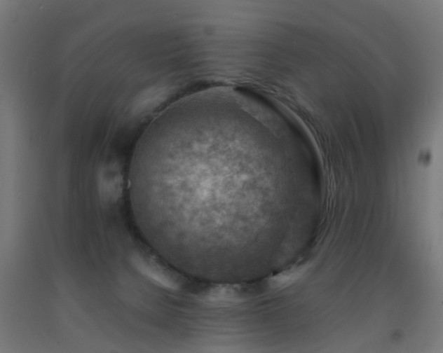 X0000093150080200709261454