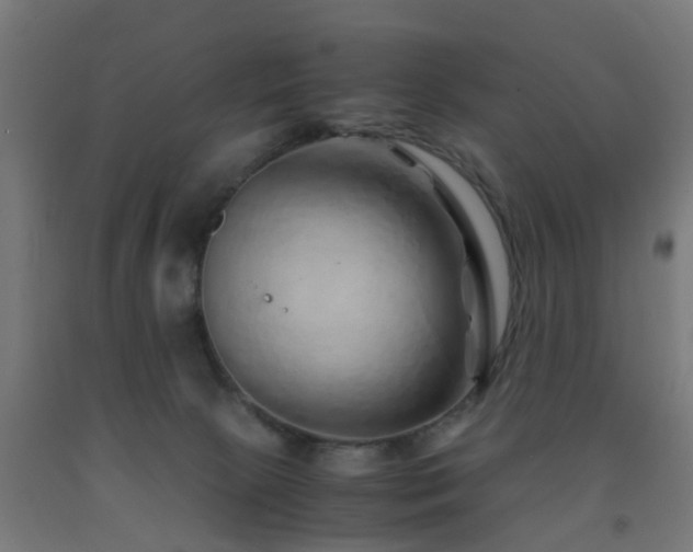 X0000093150081200709261454