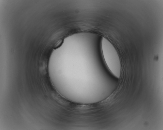 X0000093150082200709261454