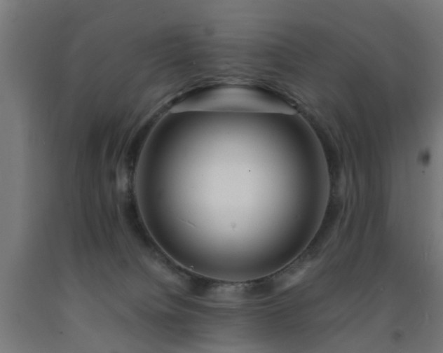 X0000093150084200709261454
