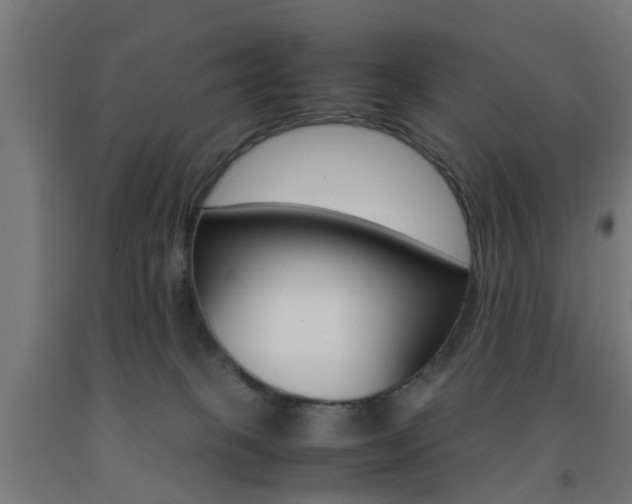 X0000093150085200709261454