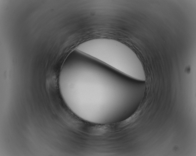 X0000093150086200709261454