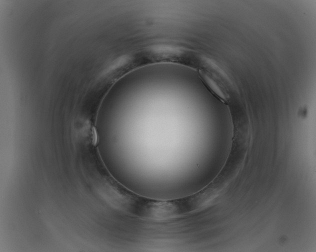 X0000093150087200709261454