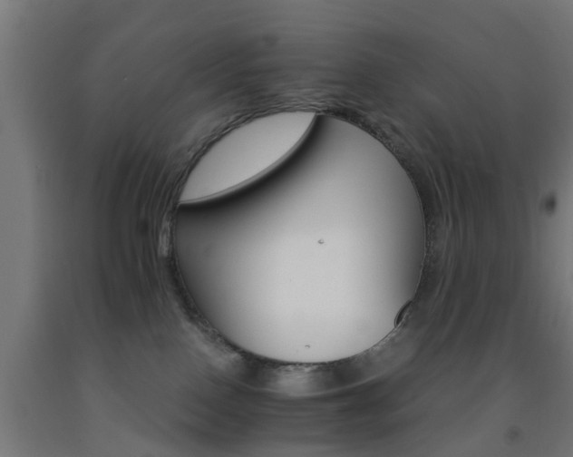X0000093150090200709261454
